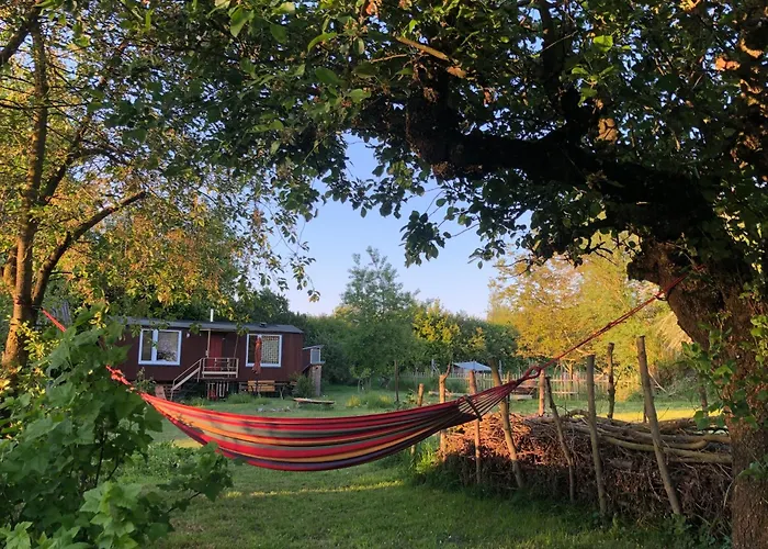 Wilde Möhre Bauwagen Sommerküche Draussen Abenteuer